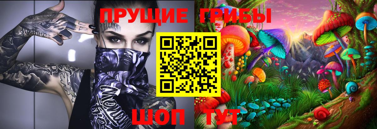 Псилоцибиновые грибы Psilocybe Морозовск