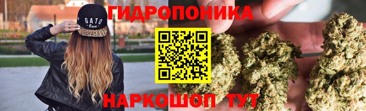 Канабис гибрид Морозовск
